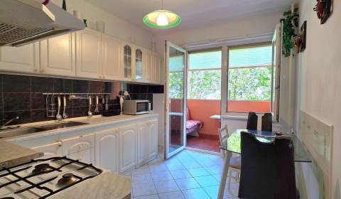 Prodej Byt 3+1, Byt 3+1, Pod Donátom, Žiar nad Hronom, Slovensko