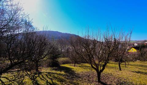 Prodej Pozemky - bydlení, Pozemky - bydlení, Nové Mesto nad Váhom, Slo