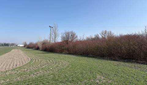 Prodej Pozemky - bydlení, Pozemky - bydlení, Komárno, Slovensko