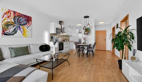 Pronájem Byt 2+1, Byt 2+1, Budatínska, Bratislava - Petržalka, Slovens