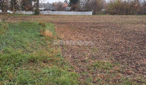 Prodej Pozemky - bydlení, Pozemky - bydlení, Farná, Levice, Slovensko