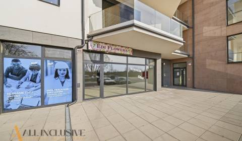 Pronájem Prostory pro obchod, Prostory pro obchod, Železničná, Dunajsk