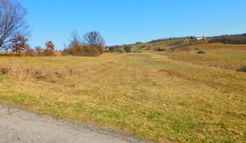 Prodej Zemědělské a lesní, Zemědělské a lesní, Krupina, Slovensko