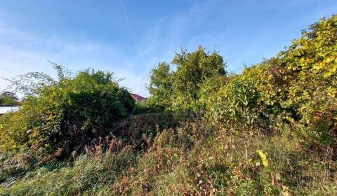 Prodej Pozemky - bydlení, Pozemky - bydlení, Komárno, Slovensko