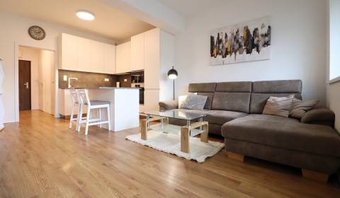 Pronájem Byt 2+1, Byt 2+1, Saratovská, Trenčín, Slovensko