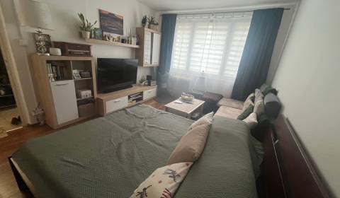 Prodej Byt 1+1, Byt 1+1, Podháj, Banská Bystrica, Slovensko