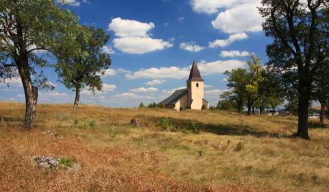 Prodej Zemědělské a lesní, Zemědělské a lesní, Košice-okolie, Slovensk