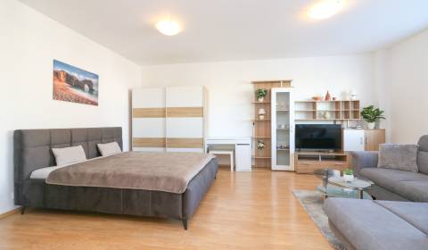 Pronájem Byt 1+1, Byt 1+1, Ďatelinová, Bratislava - Ružinov, Slovensko