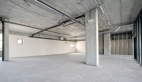 Pronájem Prostory pro obchod, Prostory pro obchod, Trnavská cesta, Bra