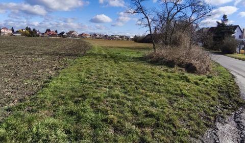 Prodej Pozemky - bydlení, Pozemky - bydlení, Čierny Brod, Galanta, Slo