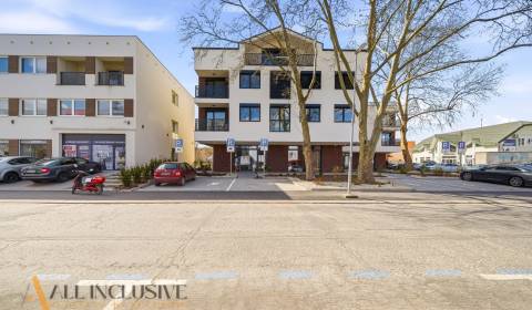 Pronájem Prostory pro obchod, Prostory pro obchod, Bačáková, Dunajská 