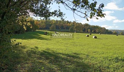 Prodej Pozemky - bydlení, Detva, Slovensko