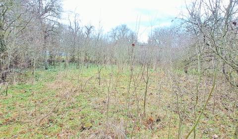 Prodej Pozemky - bydlení, Pozemky - bydlení, Levice, Slovensko