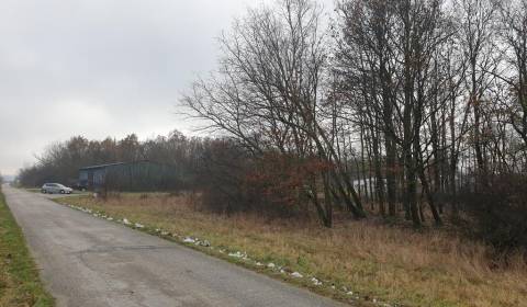 Prodej Zemědělské a lesní, Zemědělské a lesní, Pezinok, Slovensko