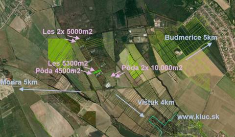 Prodej Zemědělské a lesní, Zemědělské a lesní, Pezinok, Slovensko