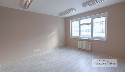 Pronájem Kancelářské prostory, Kancelářské prostory, Paulínyho, Bratis