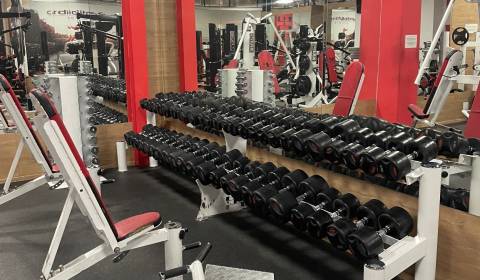 Prodej Prostory pro obchod, Prostory pro obchod, Galantská cesta, Duna