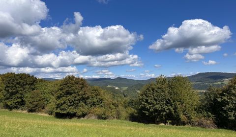 Prodej Zemědělské a lesní, Zemědělské a lesní, Bardejov, Slovensko