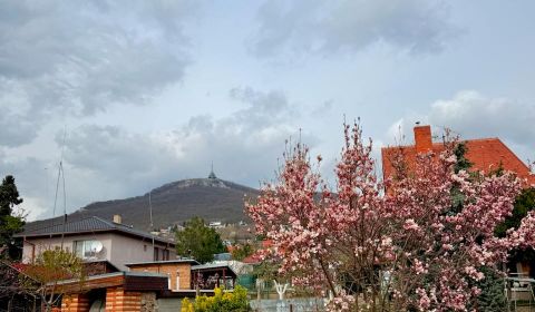 Prodej Rodinný dům, Rodinný dům, Metodova, Nitra, Slovensko