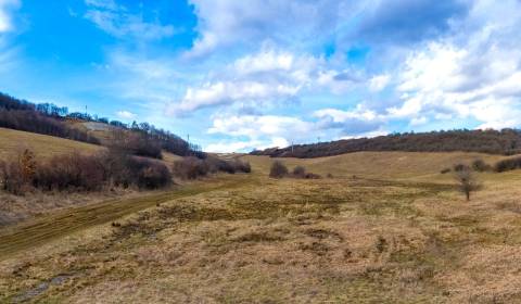 Prodej Pozemky - bydlení, Pozemky - bydlení, Levočská, Prešov, Slovens