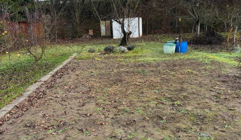 Prodej Zahrady, Zahrady, Podhradie, Levice, Slovensko