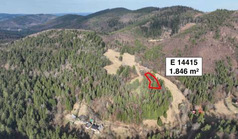 Prodej Zemědělské a lesní, Zemědělské a lesní, Púchov, Slovensko