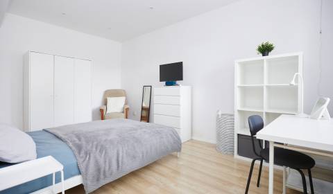 Prodej Byt 2+1, Byt 2+1, Lomnická, Košice - Sever, Slovensko