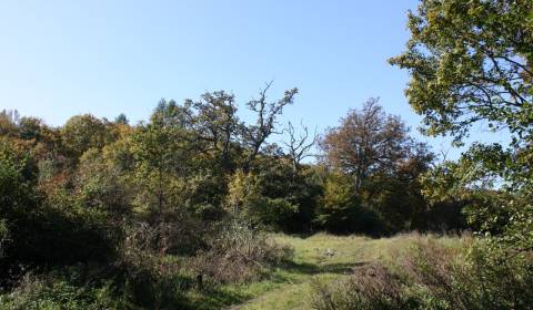 Prodej Zemědělské a lesní, Zemědělské a lesní, Bánovce nad Bebravou, S