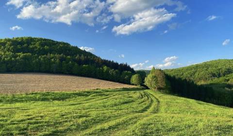 Prodej Zemědělské a lesní, Zemědělské a lesní, Púchov, Slovensko