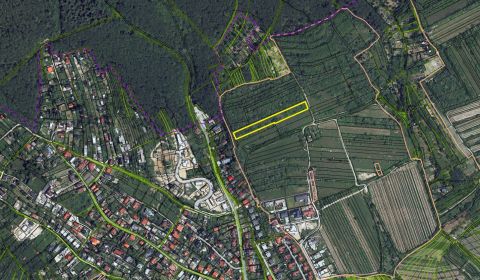 Prodej Vinice, Vinice, Fongová, Bratislava - Rača, Slovensko