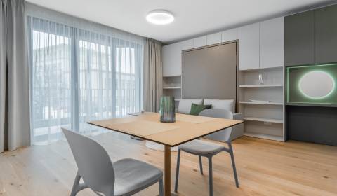 Pronájem Byt 1+1, Byt 1+1, Košická, Bratislava - Ružinov, Slovensko