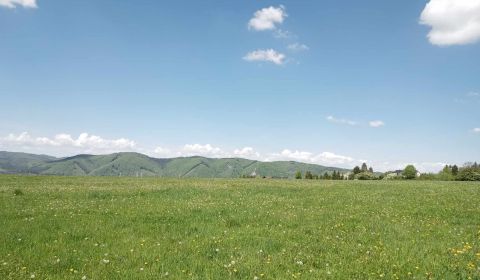 Prodej Zemědělské a lesní, Zemědělské a lesní, Žilina, Slovensko
