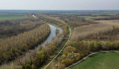 Prodej Zemědělské a lesní, Zemědělské a lesní, Galanta, Slovensko