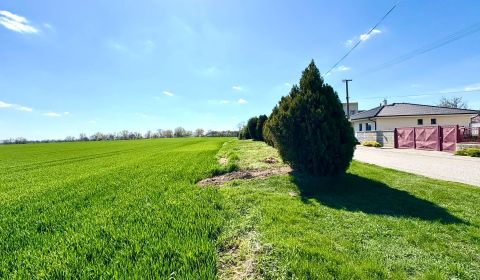 Prodej Pozemky - bydlení, Pozemky - bydlení, Nové Zámky, Slovensko