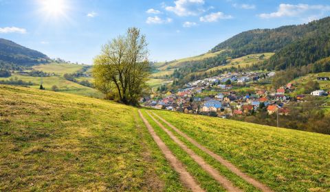 Prodej Zemědělské a lesní, Zemědělské a lesní, Kotrčiná Lúčka, Žilina,