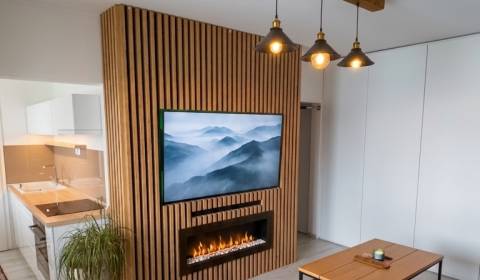 Pronájem Byt 2+1, Byt 2+1, Pádivého, Trenčín, Slovensko