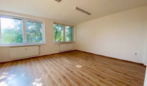 Pronájem Kancelářské prostory, Kancelářské prostory, Priemyselná, Mich