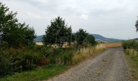 Prodej Zemědělské a lesní, Zemědělské a lesní, Bardejov, Slovensko