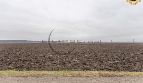 Prodej Zemědělské a lesní, Zemědělské a lesní, Dolná, Malacky, Slovens