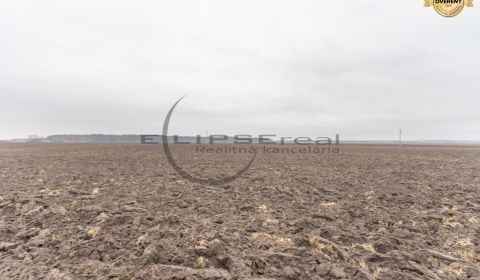 Prodej Zemědělské a lesní, Zemědělské a lesní, Dolná, Malacky, Slovens