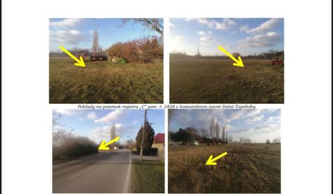 Prodej Pozemky - bydlení, Pozemky - bydlení, Dunajská Streda, Slovensk