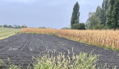 Prodej Pozemky - bydlení, Pozemky - bydlení, Dunajská Streda, Slovensk