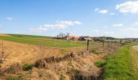 Prodej Rodinný dům, Rodinný dům, Poltár, Slovensko