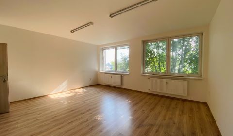 Pronájem Kancelářské prostory, Kancelářské prostory, Priemyselná, Mich