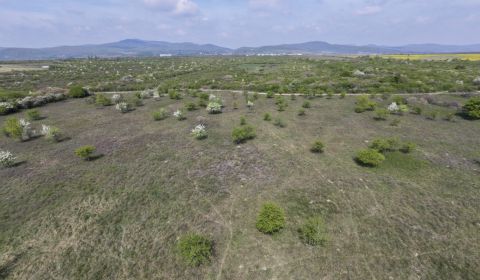 Prodej Pozemky - bydlení, Pozemky - bydlení, Dolná, Pezinok, Slovensko