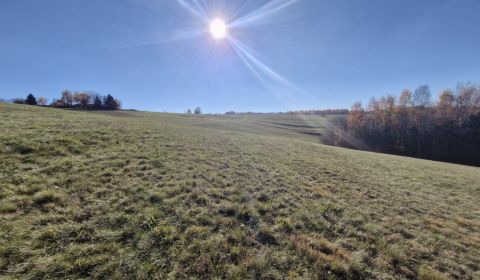 Prodej Pozemky - bydlení, Pozemky - bydlení, Detva, Slovensko