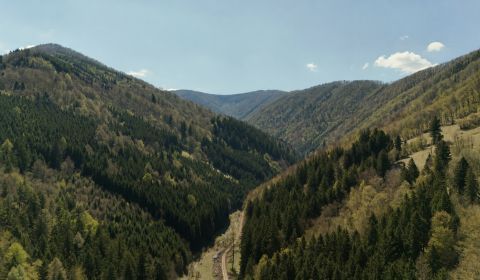 Prodej Zemědělské a lesní, Zemědělské a lesní, Žilina, Slovensko