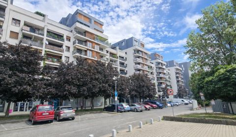 Prodej Byt 3+1, Byt 3+1, Drieňová, Bratislava - Ružinov, Slovensko