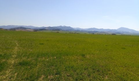 Prodej Pozemky - bydlení, Pozemky - bydlení, Martin, Slovensko