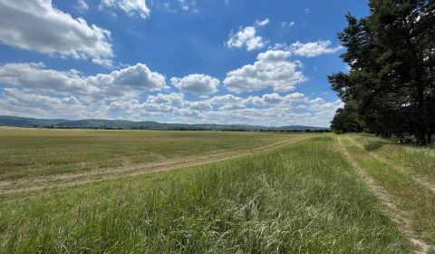 Prodej Zahrady, Zahrady, Malacky, Slovensko